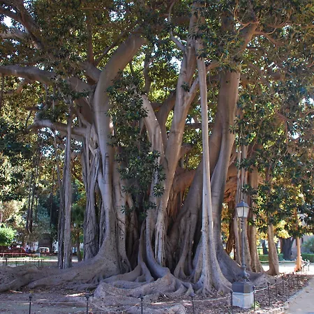 ベッド・アンド・ブレックファスト Boutique Vintage