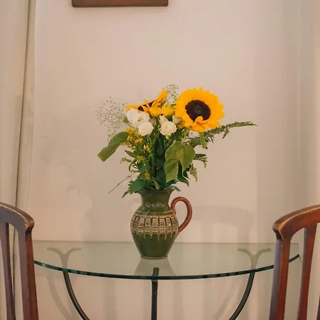 Boutique Vintage Frühstückspension